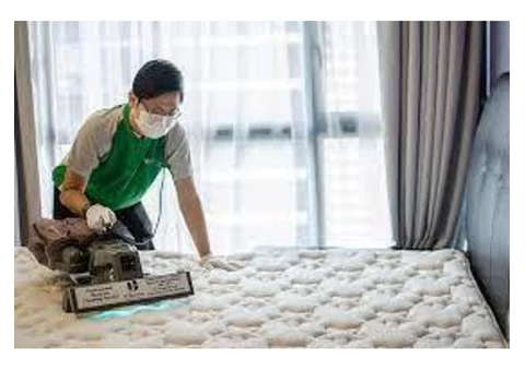 Mattress Mould Removal Services Gold Coast | Anchor Mattress Cleaning Gold Coast