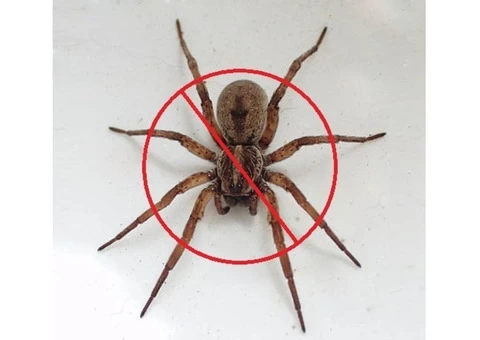 Goode Pest Control Brisbane - 2/4