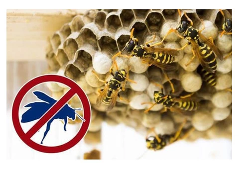 Goode Pest Control Brisbane - 3/4