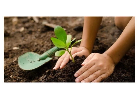 Hire Planting Professionals in Sandringham