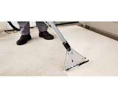 Are You Searching for Professional Carpet Cleaning Balaclava?