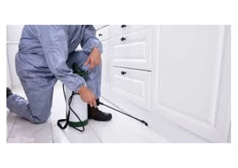 711 Pest Control Hobart - 4/5