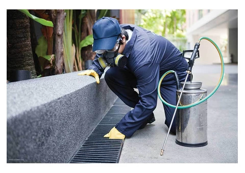 Home Pest Control Perth - 2/2