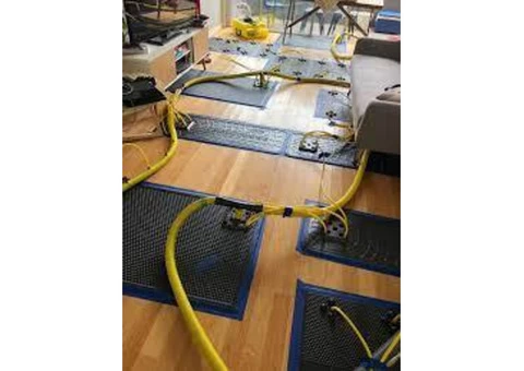 Looking For Water Restoration Services In Melbourne?