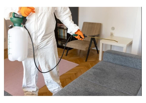 Pest Control Grasmere