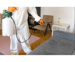 Pest Control Grasmere