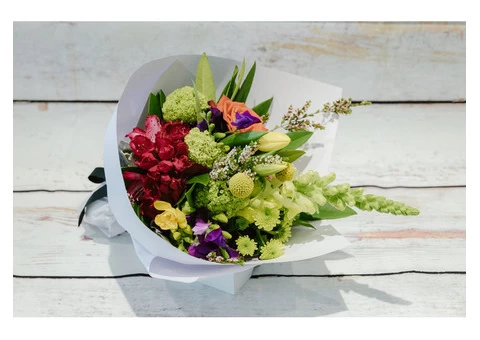 Blossoms Of Blackburn - 1/3