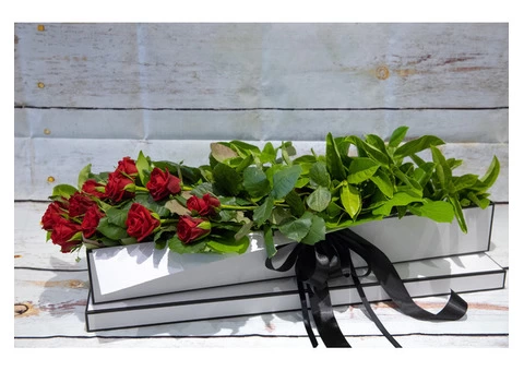 Blossoms Of Blackburn - 3/3