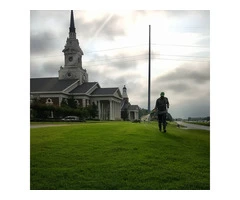 Paint Your Grass In Australia with Green Up Your Lawn