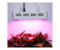 800W LED Grow Light Full Spectrum for Indoor Plants Veg and Flower