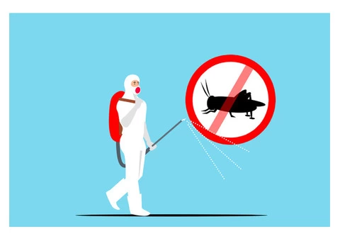 Professional Pest Control Services in Geelong, Australia