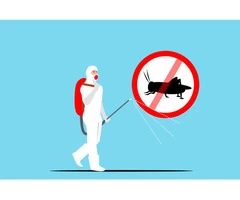 Professional Pest Control Services in Geelong, Australia