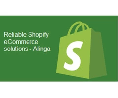 Shopify website developer: Get the best-programmed website