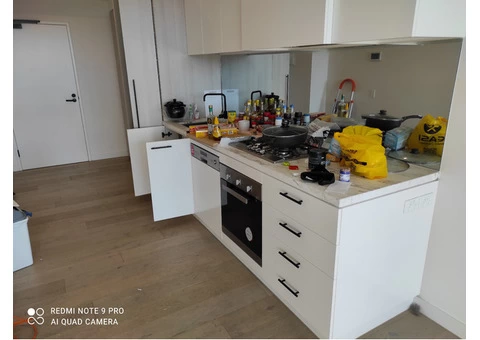 Cheap House Cleaning Melbourne - What You Need to Know