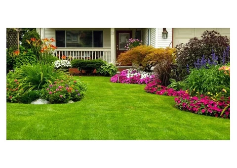 Reach an Affordable Lawn Care Service Provider Near Me