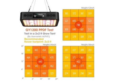Cheap Price Cob 110w LED Grow Light For Indoor Plants With Timer - 5/7
