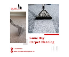 Same Day Carpet Cleaning services