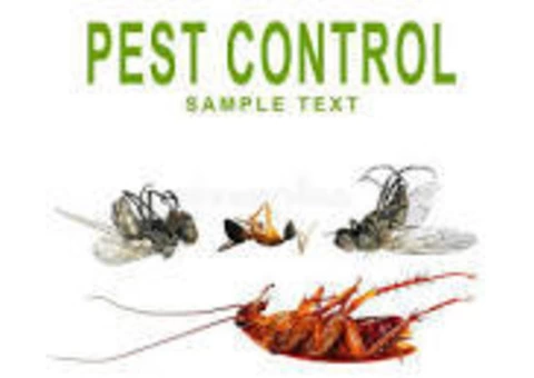 Flatline Pest Control - Pest Control Central Coast