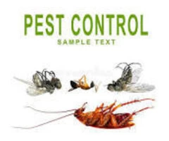 Flatline Pest Control - Pest Control Central Coast