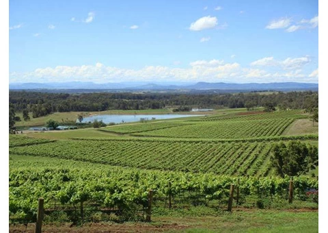 Tour Guide in Sydney - Call now - 0406 909 800