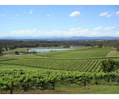 Tour Guide in Sydney - Call now - 0406 909 800