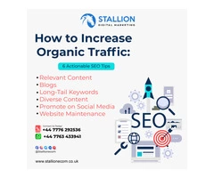 Professional SEO Services |Social media agency UK | Web Development