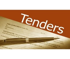 Improve Tender Responses With Professional Tender Writer