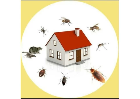 Pest Control Services Canberra - Glenn Scape Horticulture Pty Ltd