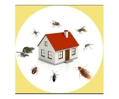 Pest Control Services Canberra - Glenn Scape Horticulture Pty Ltd