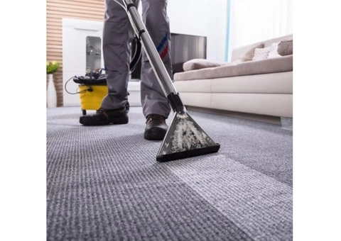 Hire The Best Carpet Cleaning Services In Melbourne