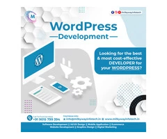 Wordpress website designer company in noida