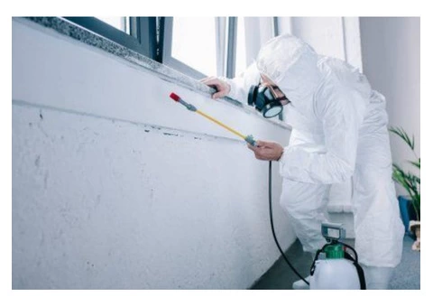 SAMS Pest Control Bondi - 2/6