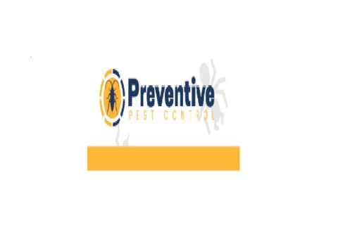 Preventive Spider Control Brisbane - 2/2