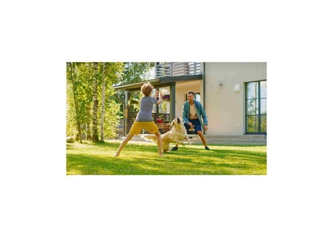 Green Grass Spray Paint For Your Lawn!