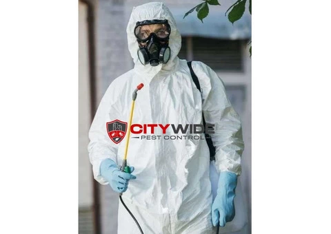 City Wide Pest Control Adelaide - 1/7