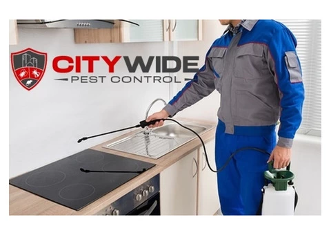 City Wide Pest Control Adelaide - 5/7