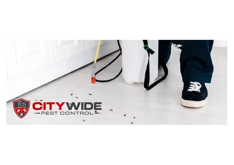 City Wide Pest Control Adelaide - 6/7