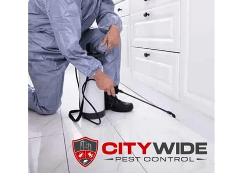 City Wide Pest Control Adelaide - 7/7