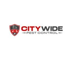 City Wide Pest Control Canberra