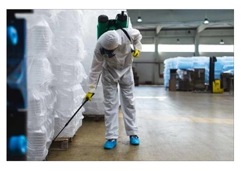 City Wide Pest Control Canberra - 4/6