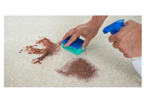 Carpet Cleaning Ipswich Qld - 7/7