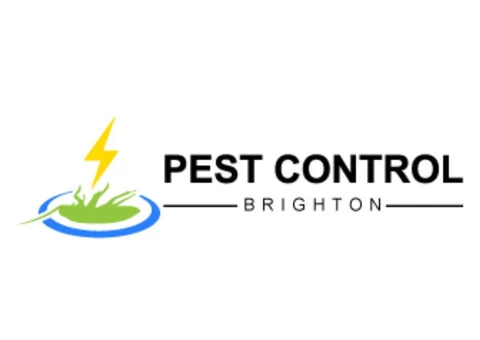Moth Control Brighton