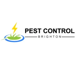 Moth Control Brighton