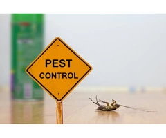 Frontline Pest Control Adelaide