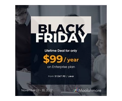 Moolahmore Cashflow Tool - Lifetime Deal | Black Friday Sale