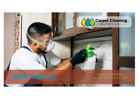 Pest Control Burwood