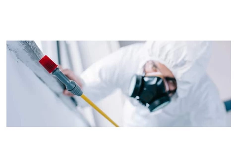 Frontline Pest Control Brisbane