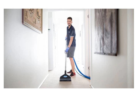Expert Carpet Cleaning Services in Sydney