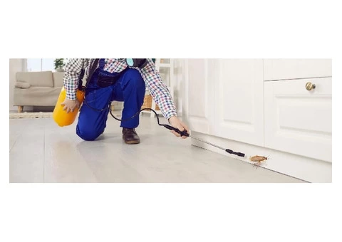 Frontline Pest Control Perth