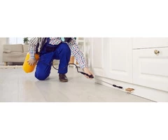 Frontline Pest Control Perth